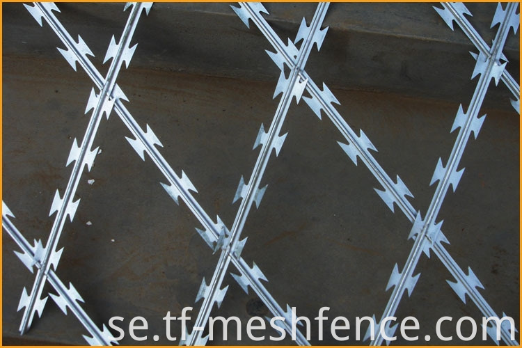 welded concertina razor wire mesh 3